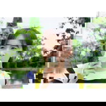 ใหมเฮ่อ สาวม้งมัว profile icon