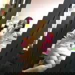 ชลธิชา เสนพันธ์ profile icon