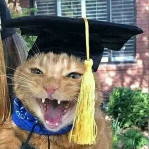 Syull Ajaa profile icon