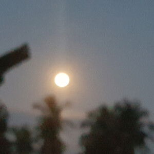 Nor Farah profile icon