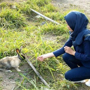 Tweetty profile icon