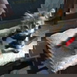 p'Aah thitiipoom profile icon