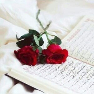 Annisa Ummu Muqbil profile icon