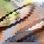 Vilaiporn Chobsil profile icon