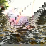 Diana Agustin profile icon