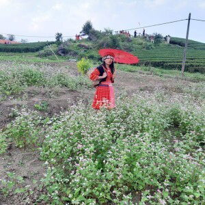 Huyen Ly profile icon