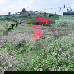 Huyen Ly profile icon