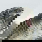 ลาวัลย์ ดํากลิ่น profile icon