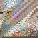 Hera Sii Chuby profile icon