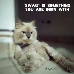 kiki 772 profile icon