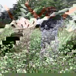 Nguyễn Minh Lý profile icon