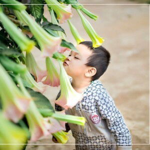 KaHồ AnhRê profile icon