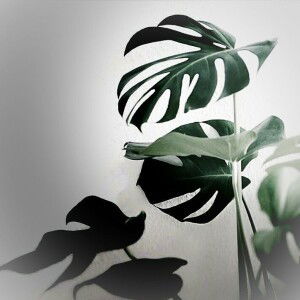 Tita Wulandari profile icon