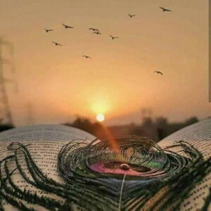 Royy Thia profile icon