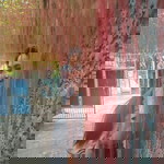 AP R IL profile icon