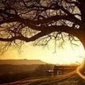 Madam Ajin profile icon