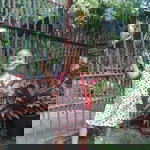 Thata Gahum Dizon profile icon