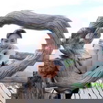 Apple Phatcha profile icon