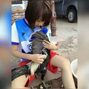 Chortip Nidnoo profile icon