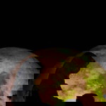 Rina Nuraydah profile icon