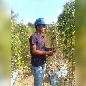 พีช พัฒนพงษ์ profile icon