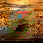 Deeyach Suhe profile icon