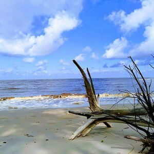 Imroatus Sholehah profile icon