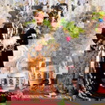 Dia Novita Sari profile icon