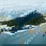 shshahida07 profile icon