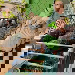 Triya Amalia profile icon