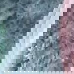 atiqah aniqah profile icon