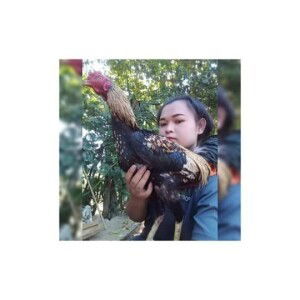 Kanyarat Somboonrat profile icon