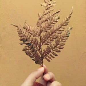 Indriani profile icon