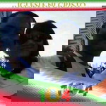 Anton Ibanez Batingal profile icon