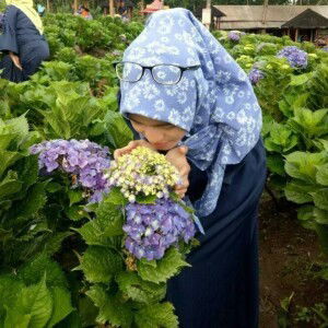 Ayla Kurniawan profile icon