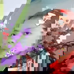 Tâm Tít profile icon