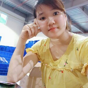 Hoàng Phương Lê profile icon