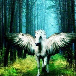 Trần Ngọc Lan profile icon