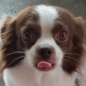 ฌอ เออ เฌอ profile icon
