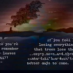 Tzu Chi profile icon