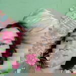 Erica S. Lozada profile icon