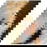 Gade Kanok profile icon