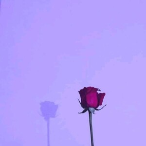 Zulia Zpna profile icon