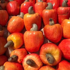 Nguyên Hoàng profile icon