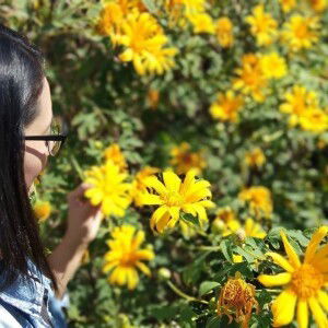 กัณยาพัฒน์ เดชอุดม profile icon