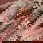 Lê Oanh profile icon