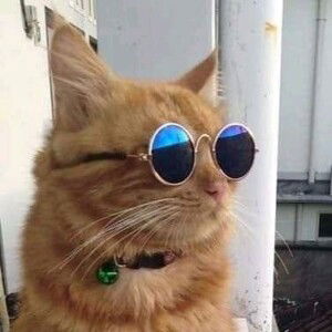 Syafiqah Manshor profile icon