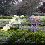 febi asmiyati profile icon