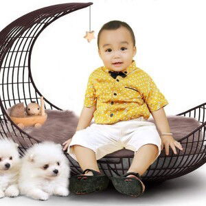 tran thi anh profile icon