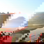 Niisha Halim profile icon